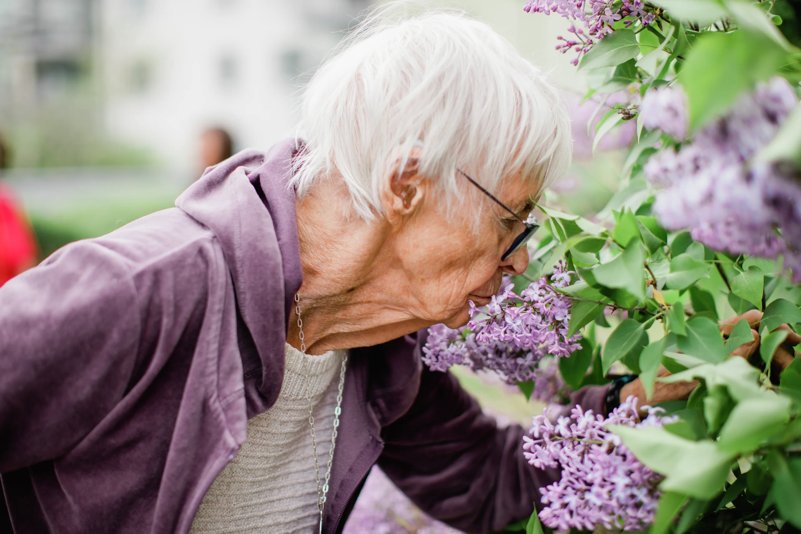 En äldre kvinna med vitt hår som doftar lila syrenblommor utomhus, klädd i lila jacka och glasögon.